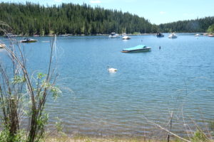 DSCF0490