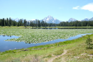 DSCF0497