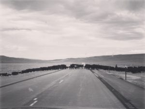 IMG_4511