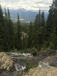 untitled-17