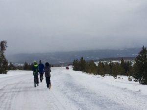 IMG_7460